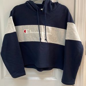 Grey and navy blue Champion sweatshirt